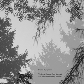 Voices from the Forest