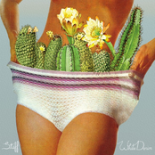 White Denim: Stiff