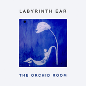 Lorna by Labyrinth Ear