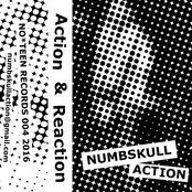 ACTION & REACTION