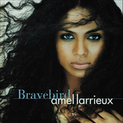 Amel Larrieux: Bravebird