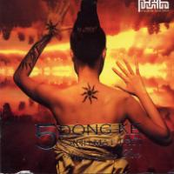 Cánh mặt trời - Wings of the Sun