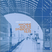 Texas by Machine And The Synergetic Nuts