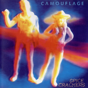 Spacetrain by Camouflage