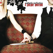 Aesthetic Perfection: A Violent Emotion