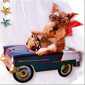 Driving In My Car - Single