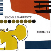 Individuation by Thomas Marriott