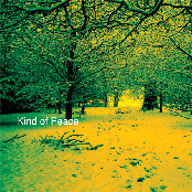 Kind Of Peace