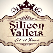 Silicon Vallets