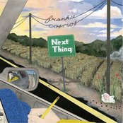 Frankie Cosmos - Next Thing Artwork