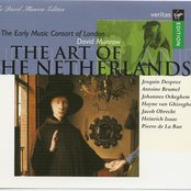 The Art of the Netherlands - Mass movements