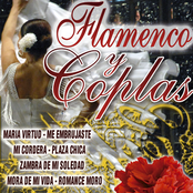Flamenco y Coplas