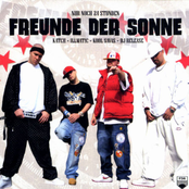 Willkommen Im Game by Freunde Der Sonne