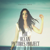 The Ocean Pictures Project