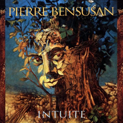 Pierre Bensusan: Intuite