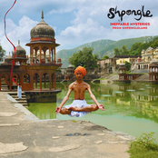 Shpongle: Ineffable Mysteries From Shpongleland