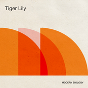 Tiger Lily