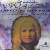 Las cuatro estaciones