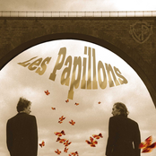 les papillons