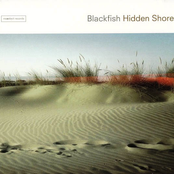 Hidden Shore by Blackfish