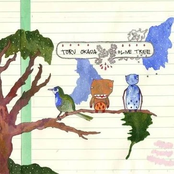 Toru Okada / Olive Tree Split