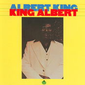 Chump Change by Albert King