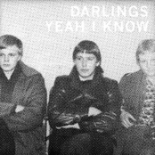 Teenage Girl by Darlings