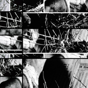 Lines That Connect and Separate