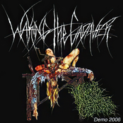 Walking the Cadaver: Demo 2006