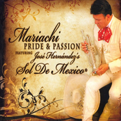 Mariachi Sol De Mexico De Jose Hernandez: Mariachi Pride and Passion