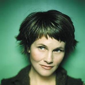 shawn colvin