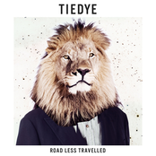 Road Less Travelled by Tiedye