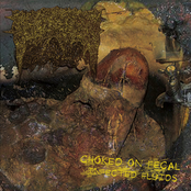 Choked on Fecal Infected Fluids