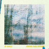 Animal Glue / Nothing