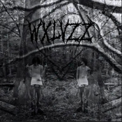 Gi Slipp På Mørket