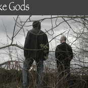 fake gods