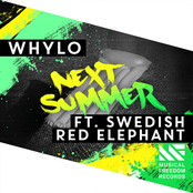 Next Summer (feat. Swedish Red Elephant) - Single