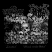 Wrath Ov The Gods/Serpent