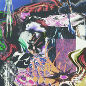 Ever Love, Ever Have