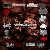 19 Sickening Act Of Parasiticide Discharging Embryonic Fluids