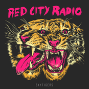 Red City Radio: SkyTigers