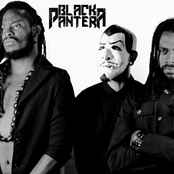 Black Pantera: O Último Homem Em Pé
