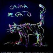 Be Pop by Cama De Gato