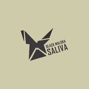 Saliva
