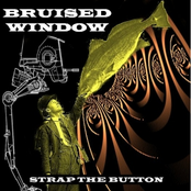 Bruised Window (Single) [2004]