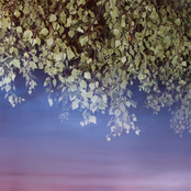 [BadPanda055] Anders Ilar