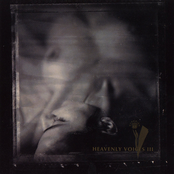 Heavenly Voices Part III