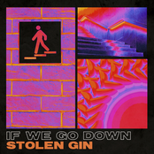Stolen Gin: If We Go Down