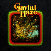 GAVIAL HAZE
