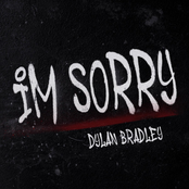 I'm Sorry